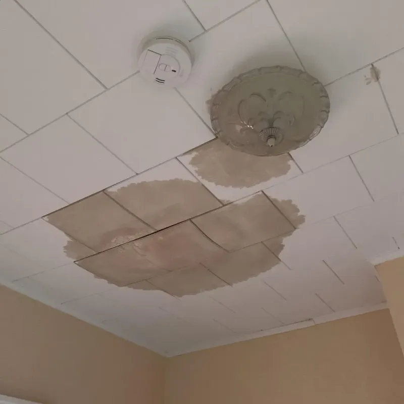 Ceiling Water Damage Repair in Ridgefield Park, NJ