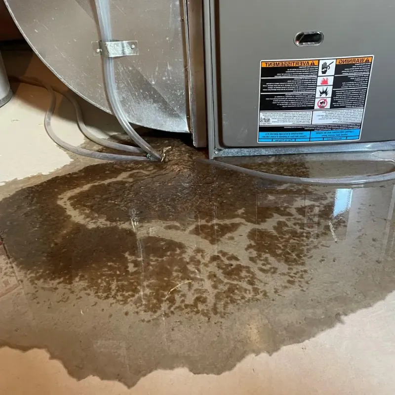 Pipe Burst and Leak Restoration in Ridgefield Park, NJ