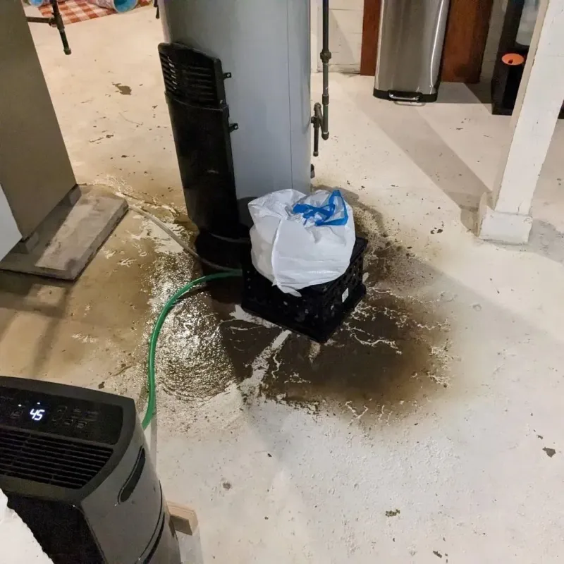 Sewage Backup Cleanup Service in Ridgefield Park, NJ